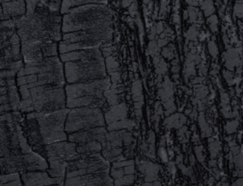 BURNT WOOD rough 70